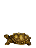 Brass Kachuwa